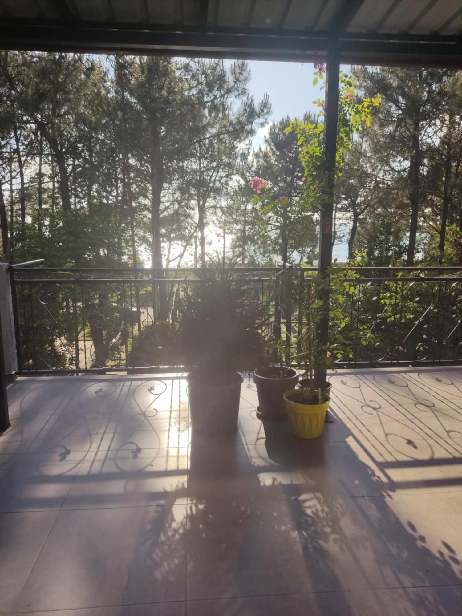 Apartment Agmashenebeli 99 Kobuleti Ngoại thất bức ảnh